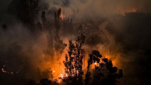 Chile | Waldbrände fordern mindestens 23 Todesopfer