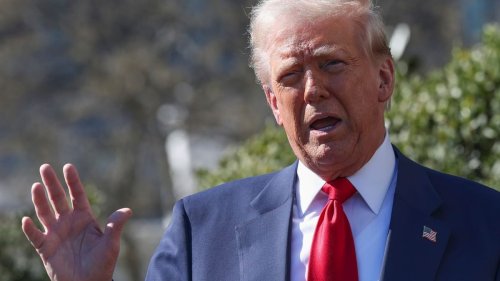Ukraine-Krieg: Trump bietet an, ukrainische Atomkraftwerke betreiben