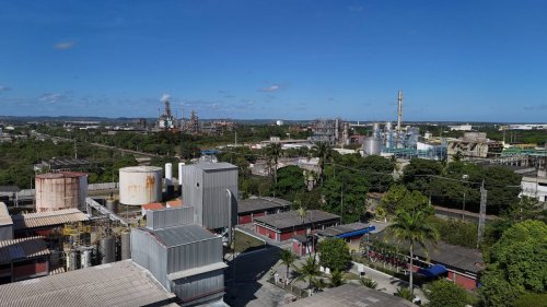 Chinas Elektroautobauer BYD nach Sklaven-Skandal: Neustart in Brasilien