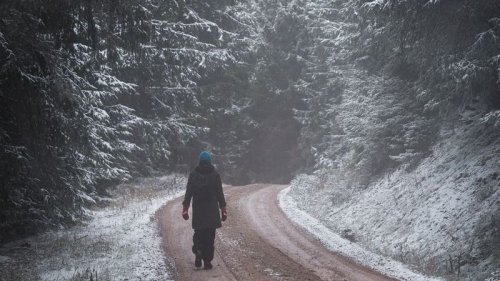 Wetter in Deutschland: Wintereinbruch! Hier wird es besonders kalt