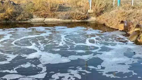 Foça Ziraat Odası isyan etti: Gediz Nehri kapkara, dokunmaya korkar hale geldik!