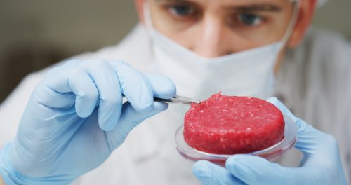 Food Tech: Jeder Vierte in Deutschland ist offen für Fleisch aus dem 3D-Drucker