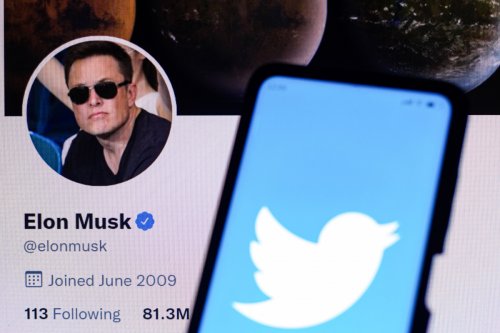 Elon Musk übernimmt Twitter: Wechseln jetzt alle Nutzer zu Mastodon?
