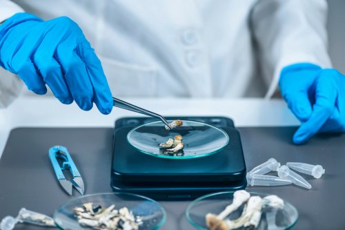 Partydroge oder Produktivitäts-Booster? Microdosing auf dem Vormarsch
