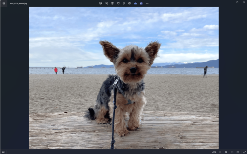 Windows: So kannst du deine Fotos in der Standard-App „magisch“ mit KI aufbessern