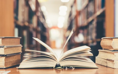 Von Anne Frank bis Games of Thrones: Welche Bücher in US-Schulen unerwünscht sind