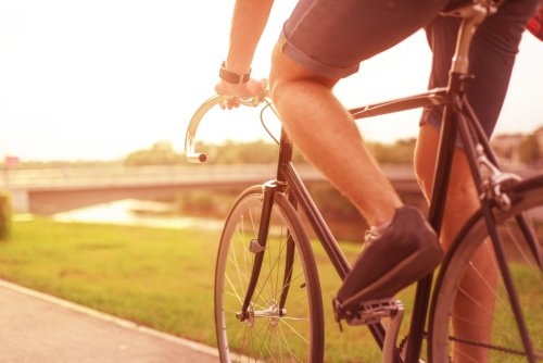 Fahrrad-Apps im Vergleich: Welche ist die beste für deine nächste Radtour?