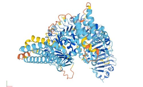 Proteinfaltung: Deepmind-Datenbank steht nun allen Menschen offen