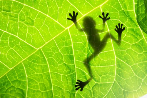 9 Praxistipps für Screaming Frog: So nutzt du alle Vorteile des SEO-Tools