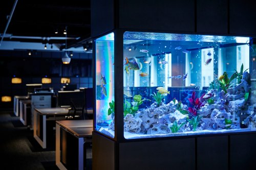 Risikofaktor IoT: Casino durch Aquarium gehackt