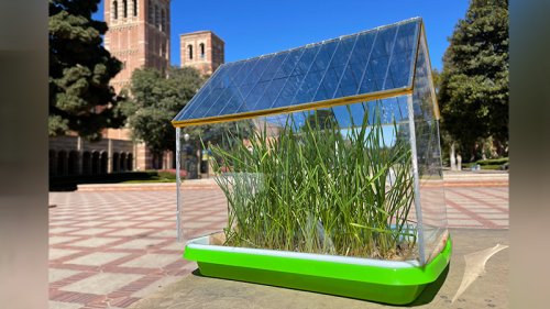 Gewächshaus mit halbtransparenten Solardach überrascht Wissenschaft