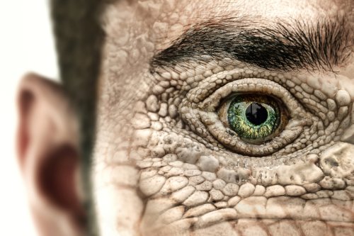 Evolution: Gäbe es ohne Aussterben heute intelligente Dinosaurier?