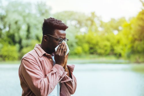 Nase voll von Heuschnupfen? Entdecke die besten Pollenflug-Apps für Allergiker