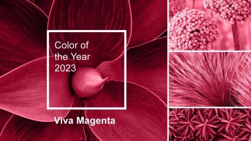 „Viva Magenta“: Das ist die Pantone-Farbe des Jahres 2023