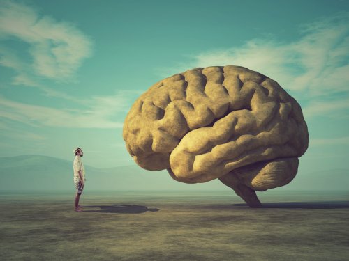 Zuviel Glutamat im Hirn: Forschende finden neue Theorie zu kognitiver Ermüdung