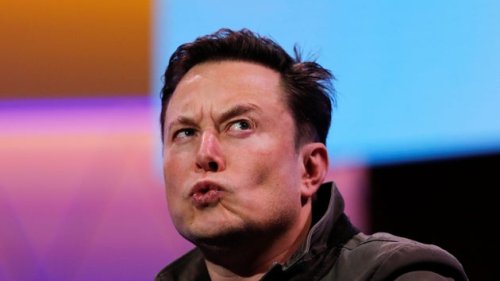 Elon Musk trollt Mitarbeiter bei Twitter, der nur wissen wollte, ob er noch einen Job hat
