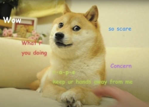 Dogecoin: Woher kommt eigentlich der Hund?