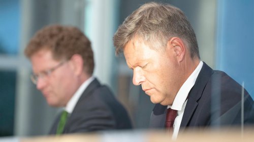 Das Dilemma der Grünen 