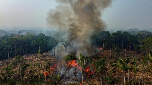 CO2-Ausstoß durch Waldbrände auf Höchststand