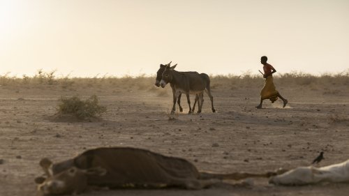 Wasserkrise gefährdet 190 Millionen Kinder