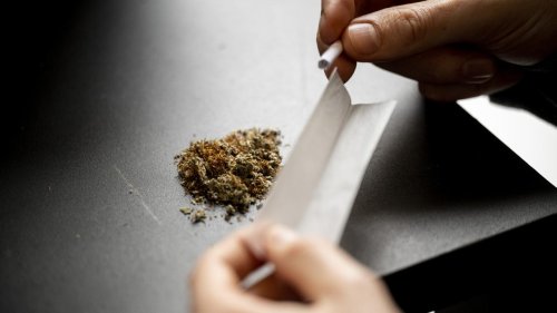 Ansturm auf Cannabis-Clubs