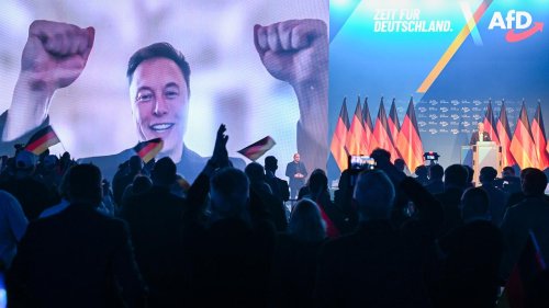 Warum Vance, Musk und Rubio die AfD unterstützen