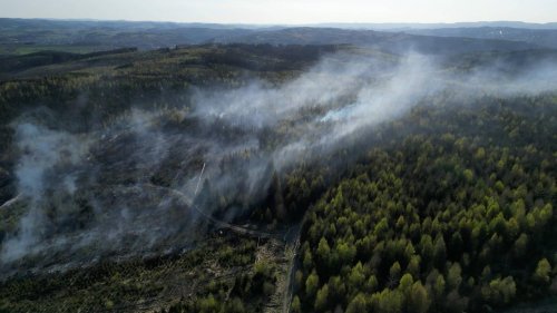 Mehrere Waldbrände inzwischen unter Kontrolle