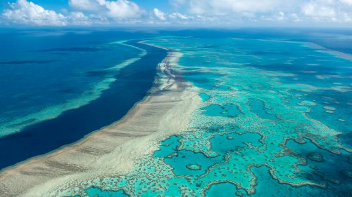 Weitere Millionen für das Great Barrier Reef