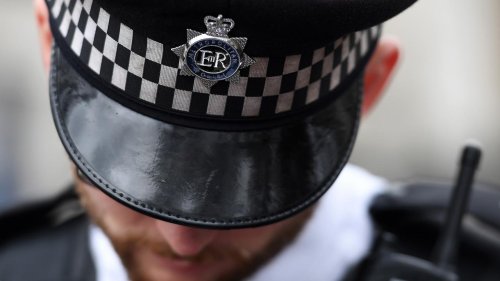 Scotland Yard suspendiert Hunderte Beamte