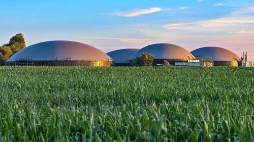 Wie Biogas die Gaskrise mildern könnte