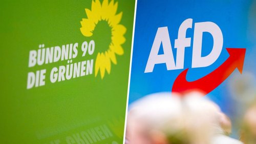 Saar-Grünen-Politiker wechselt zur AfD