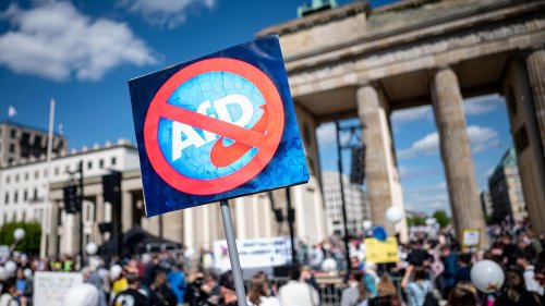 Tausende Demonstrierende in Berlin und Brandenburg fordern AfD-Verbot