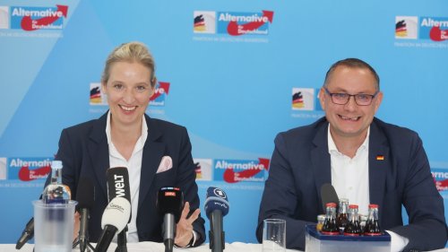 AfD präsentiert Regierungs-Sofortprogramm