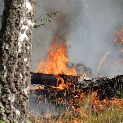 150 Hektar Wald in Flammen - Tendenz steigend