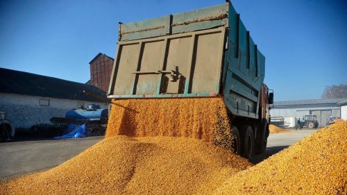 ++ EU verlängert Einschränkung für Getreideimporte ++