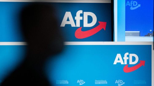 Mehr als 220 AfD-Kandidaten im Staatsdienst