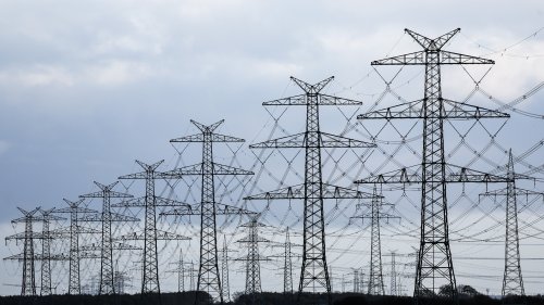 Hoher Gewinn, keine eigenen Investitionen