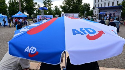 Menschenrechtsinstitut hält AfD-Verbot für möglich