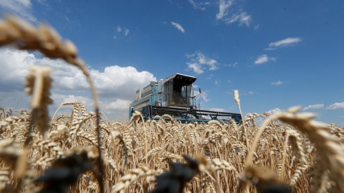 + NASA: Russland erntet ukrainischen Weizen +