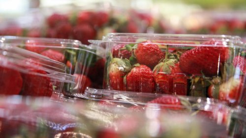 Boykottaufruf gegen spanische Erdbeeren