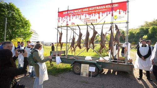 Neues Jagdrecht: Jäger wollen nicht noch mehr Wild abschießen