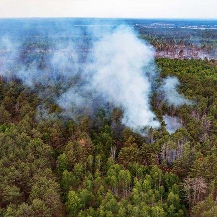 Wind facht Waldbrand bei Jüterbog wieder an