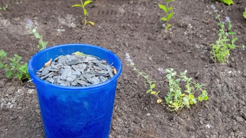 Blumen statt "Gärten des Grauens"