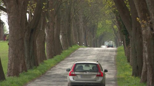 Polizei stellt uneinsichtigen Raser