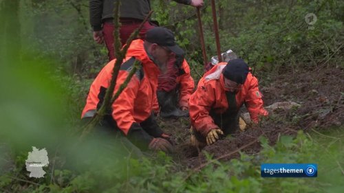 Kinder sammeln bei Bergwaldprojekt in der Eifel wichtige Erfahrungen für Alltagsherausforderungen