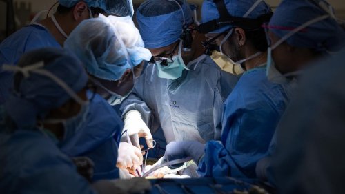 Ärzte transplantieren erstmals Harnblase