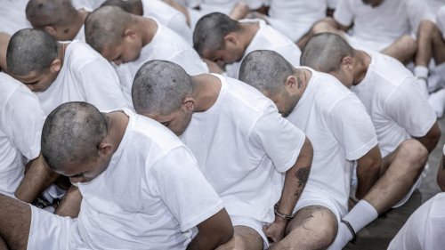Tattoos als Grund für Abschiebung?