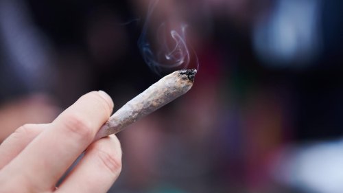 Cannabis-Freigabe: Wie viel Mitsprache sollen die Länder haben?