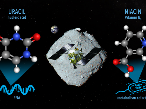 Fund im Asteroidenstaub: Bestandteile von Erbgutmolekülen auf Ryugu entdeckt