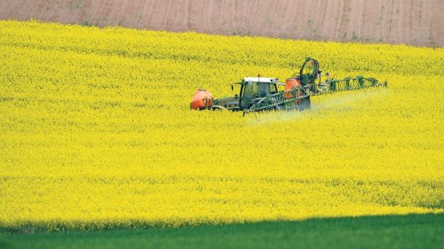Ökosysteme in Gefahr: Wie ein EU-Leitfaden riskante Pestizide fördert